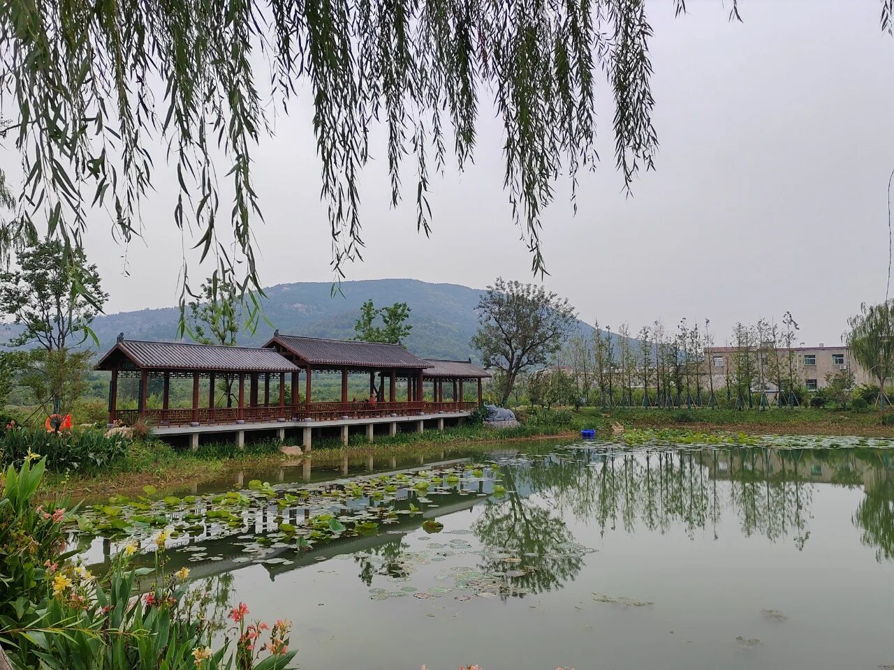 1764292377511174.jpg aaa.jpg