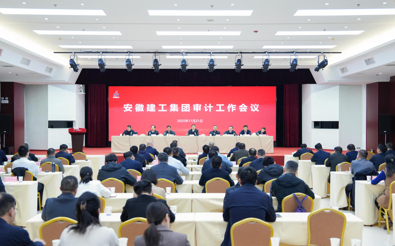 1765930173434018.jpg 审计工作会议1.jpg